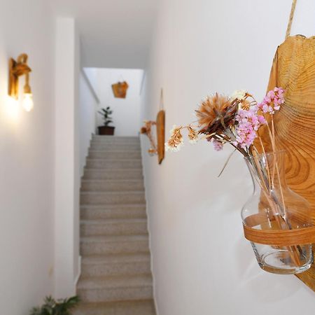 City Nest Shkoder Ngoại thất bức ảnh